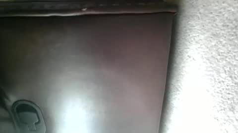 Snapshot of willnedoher chatting on April 2026 12:29:02 PM Willhedoher online show from April 2026 12:29:02 PM