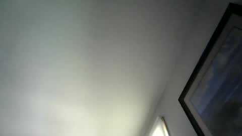 Willhedoher online show from June 2026 12:52:02 PM