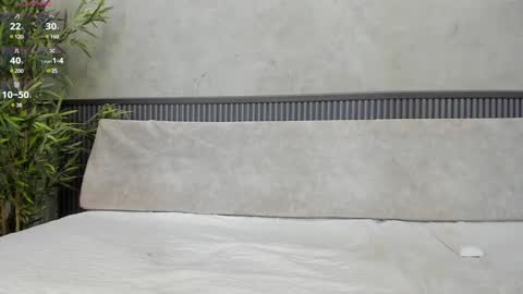 Snapshot of willow_hendrix chatting on February 2025 02:24:01 PM Ms Willow online show from February 2025 02:24:01 PM