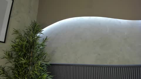 Snapshot of willow_hendrix chatting on February 2025 04:25:02 PM Ms Willow online show from February 2025 04:25:02 PM