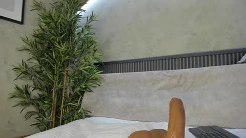 Snapshot of willow_hendrix chatting on February 2025 04:04:02 PM Ms Willow online show from February 2025 04:04:02 PM