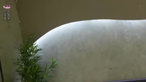 Snapshot of willow_hendrix chatting on March 2026 11:48:02 AM Ms Willow online show from March 2026 11:48:02 AM