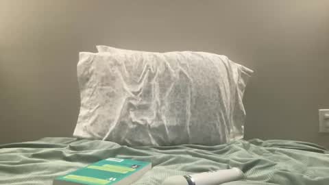 Willow online show from January 2025 04:11:02 AM