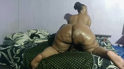 Snapshot of wilmaassylum chatting on January 2025 03:13:02 PM wilmaassylum online show from January 2025 03:13:02 PM