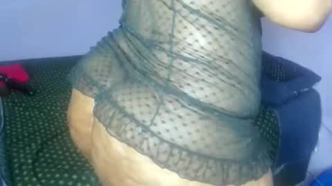 Snapshot of wilmaassylum chatting on November 2025 04:22:02 AM wilmaassylum online show from November 2025 04:22:02 AM