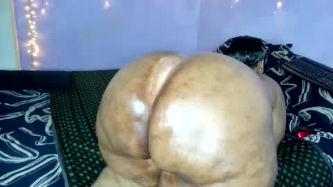 Snapshot of wilmaassylum chatting on November 2025 05:51:01 AM wilmaassylum online show from November 2025 05:51:01 AM