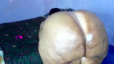 Snapshot of wilmaassylum chatting on December 2025 08:52:01 AM wilmaassylum online show from December 2025 08:52:01 AM