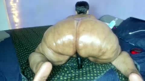 Snapshot of wilmaassylum chatting on December 2025 06:19:01 AM wilmaassylum online show from December 2025 06:19:01 AM