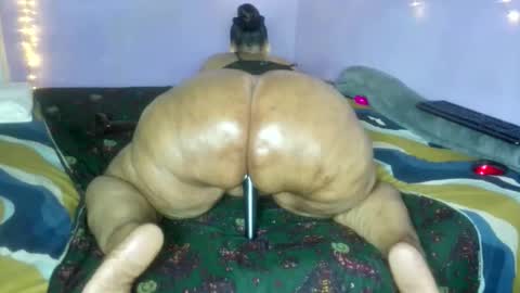 Snapshot of wilmaassylum chatting on December 2025 05:58:02 AM wilmaassylum online show from December 2025 05:58:02 AM