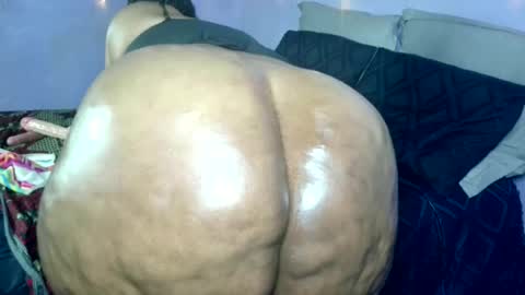 wilmaassylum online show from June 2026 01:06:02 AM