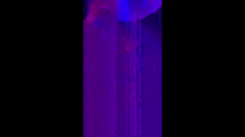 winston_woods69 online show from June 2026 08:48:01 AM