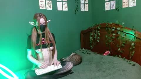 Winter online show from July 2026 04:08:02 AM