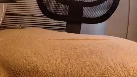 Mater online show from September 2025 08:30:01 AM