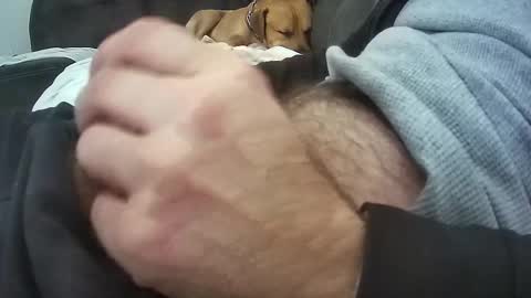 wmasolutions2020 online show from March 2026 08:57:02 PM