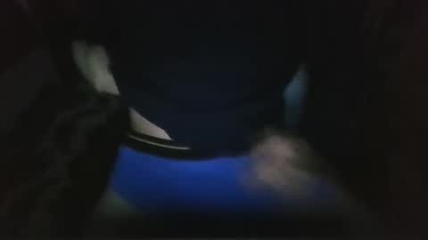 wolfie online show from May 2026 02:18:01 AM