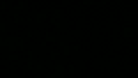 wolfie_86 online show from October 2025 11:29:02 AM