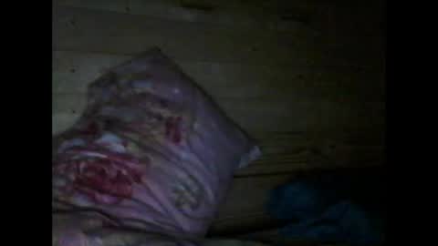 Snapshot of wolfvili chatting on March 2026 06:24:02 PM Vili online show from March 2026 06:24:02 PM