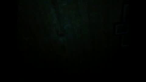 Snapshot of wolfvili chatting on March 2026 06:46:01 PM Vili online show from March 2026 06:46:01 PM