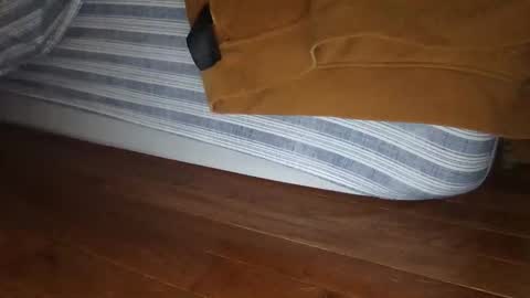 Snapshot of wolfyi chatting on December 2024 01:10:01 AM Sultan Blaze online show from December 2024 01:10:01 AM