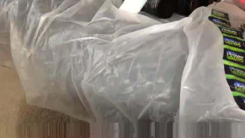 Snapshot of wolfyi chatting on February 2025 02:48:02 PM Sultan Blaze online show from February 2025 02:48:02 PM