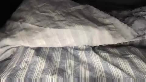 Snapshot of wolfyi chatting on February 2025 10:39:02 AM Sultan Blaze online show from February 2025 10:39:02 AM