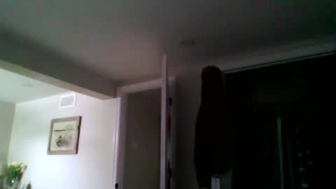 Snapshot of woodeee77 chatting on March 2026 05:08:01 PM woodeee77 online show from March 2026 05:08:01 PM