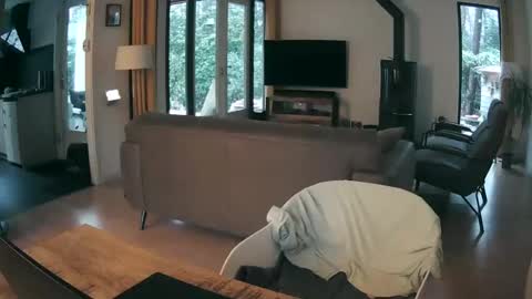 Snapshot of woodwurm chatting on February 2026 07:26:01 AM woodwurm and Snoeske online show from February 2026 07:26:01 AM