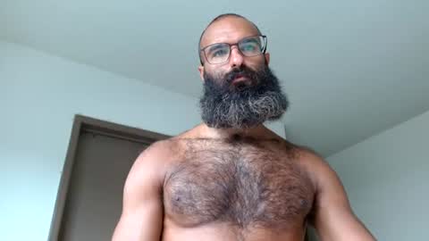woof_wolf37 online show from June 2026 04:27:01 PM