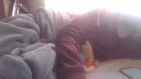 Snapshot of wormaho84 chatting on December 2024 06:49:01 PM wormaho84 online show from December 2024 06:49:01 PM