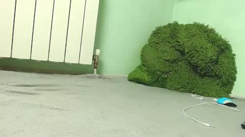 Snapshot of wow_devil chatting on December 2024 06:57:02 AM wow_devil online show from December 2024 06:57:02 AM