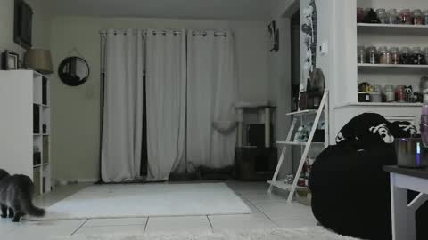 Snapshot of wrenleigh chatting on January 2025 05:28:02 AM Crystal Lake online show from January 2025 05:28:02 AM