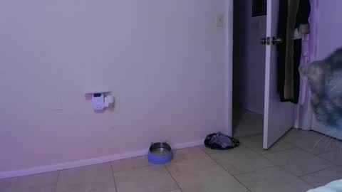 Snapshot of wrenleigh chatting on November 2025 05:22:02 AM Crystal Lake online show from November 2025 05:22:02 AM