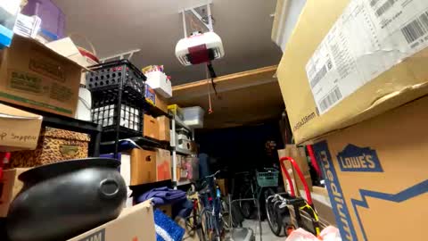 Wynter Heat online show from September 2025 11:24:01 AM