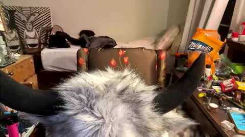 xander0zzz online show from March 2026 05:58:02 AM