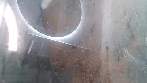 Snapshot of xandressex chatting on February 2025 11:42:01 AM Andres online show from February 2025 11:42:01 AM