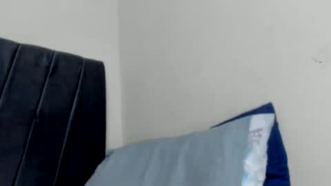 Snapshot of xavier_days chatting on December 2024 03:55:02 PM sebas online show from December 2024 03:55:02 PM