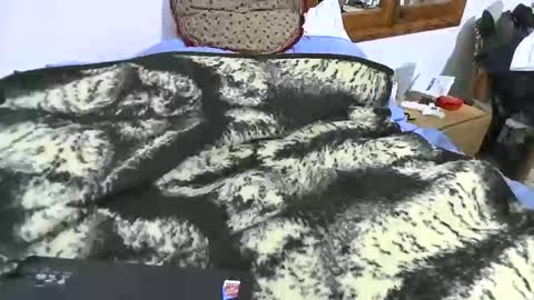 Snapshot of xaxi3 chatting on January 2026 11:31:01 PM xaxi3 online show from January 2026 11:31:01 PM