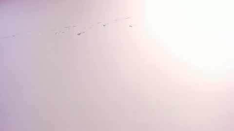 Snapshot of ximena_vasquez8 chatting on October 2025 03:07:02 AM Xime online show from October 2025 03:07:02 AM