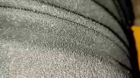 ximradiaz online show from November 2025 01:27:02 AM