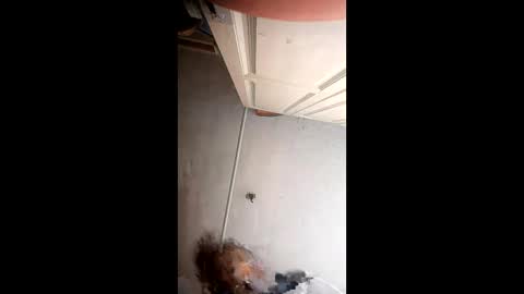 xlwi77 online show from May 2026 10:22:02 PM