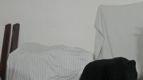 MetalstudMaster online show from February 2026 08:13:02 PM