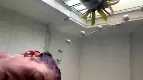 Snapshot of xo_roxie chatting on September 2025 07:02:02 PM xo_roxie online show from September 2025 07:02:02 PM