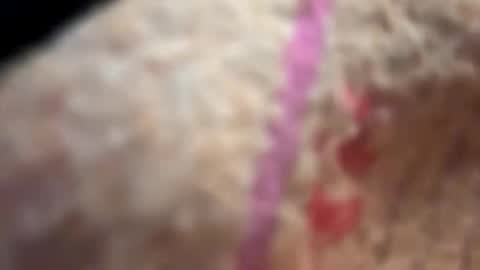 dani3 online show from November 2025 02:55:01 AM