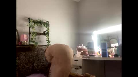 dani3 online show from November 2025 12:08:02 PM