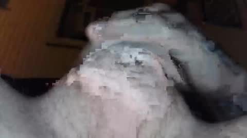 Snapshot of xoxossdfm8894982459 chatting on December 2025 03:46:02 AM xoxossdfm8894982459 online show from December 2025 03:46:02 AM