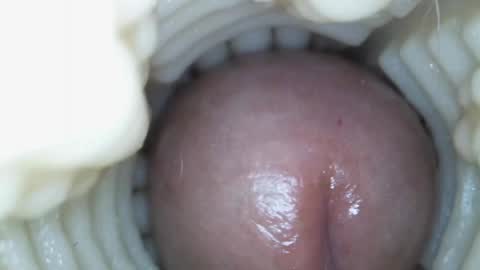 xoxowtf online show from March 2026 05:41:01 PM