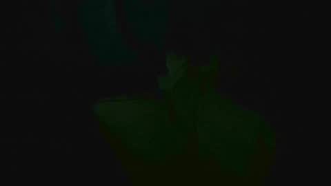 Snapshot of xposed_edger chatting on March 2025 05:33:02 AM xposed_edger online show from March 2025 05:33:02 AM