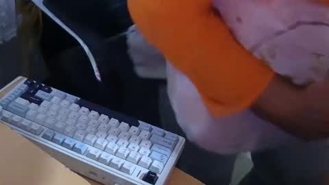 Snapshot of xrokettt chatting on November 2025 07:54:01 PM xrokettt online show from November 2025 07:54:01 PM