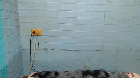 Snapshot of xsavagemistressx chatting on January 2025 11:56:02 AM Ask Me Baby online show from January 2025 11:56:02 AM