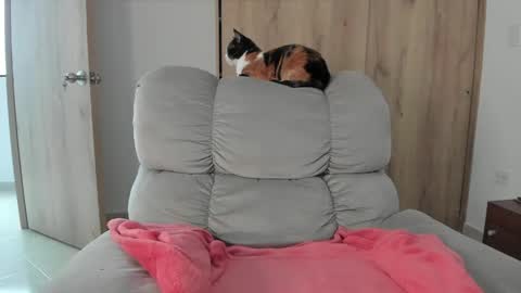 Hellen Sofia instagram hellen5546 online show from May 2026 07:41:01 PM